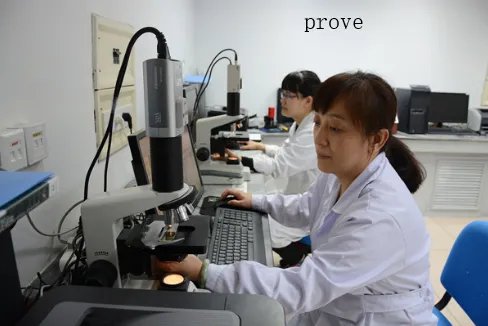 prove的用法