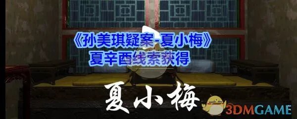 《孙美琪疑案-夏小梅》夏辛酉线索获得