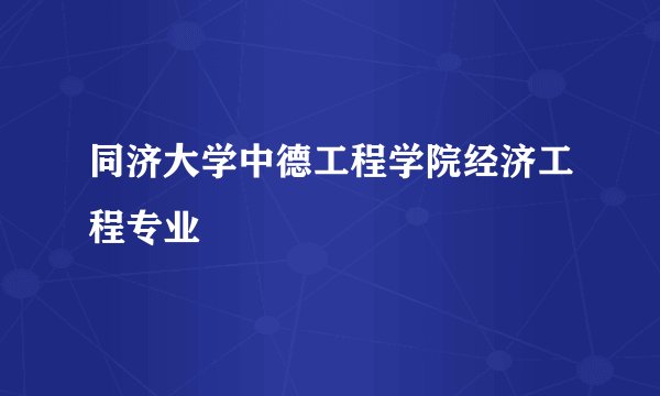 同济大学中德工程学院经济工程专业