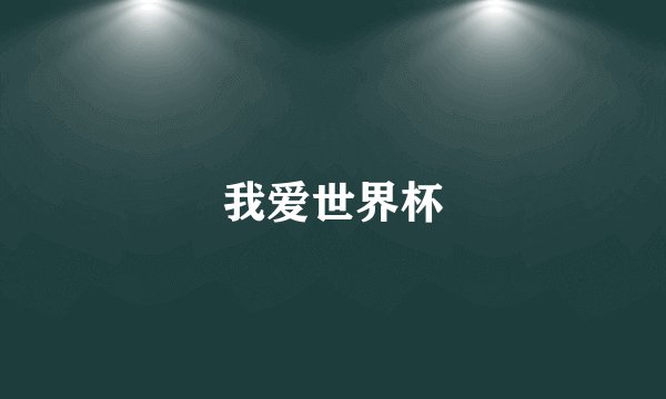 我爱世界杯