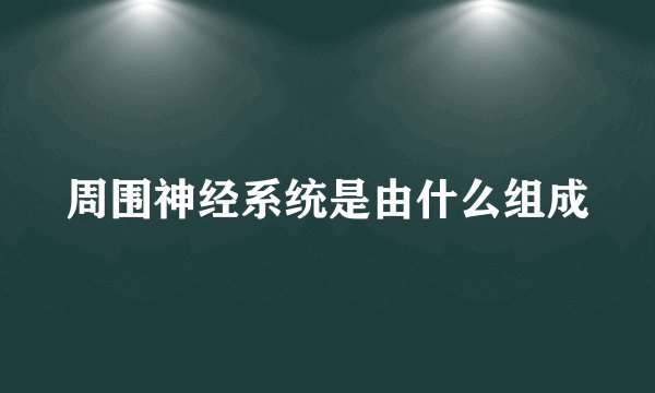 周围神经系统是由什么组成