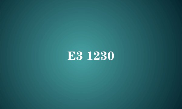 E3 1230
