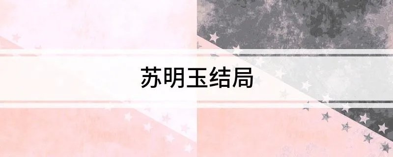 苏明玉结局