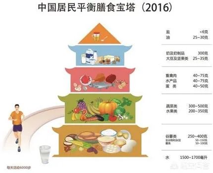 什么是均衡营养？