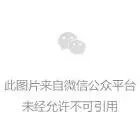 丁丁长痘痘种类多，你长的是哪种？