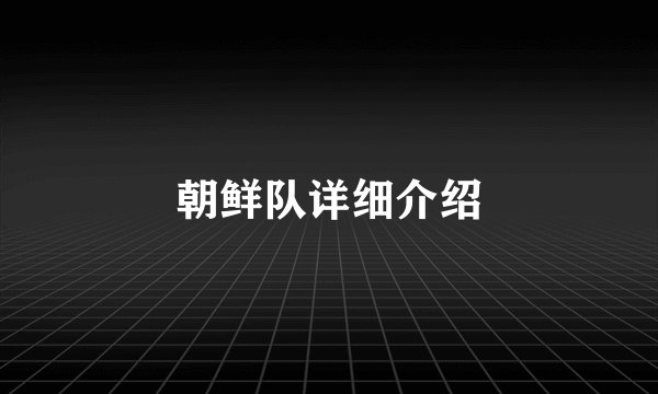 朝鲜队详细介绍