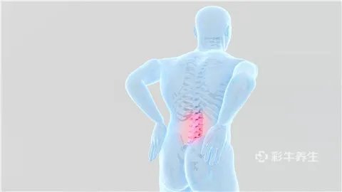 经常腰酸背痛是什么原因