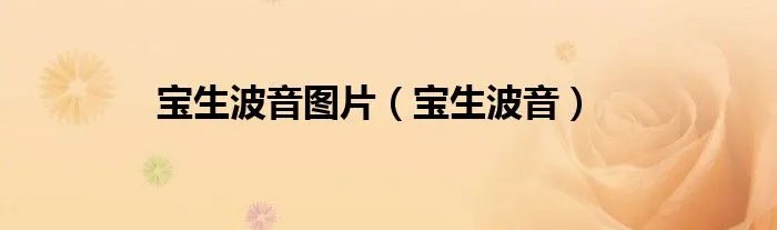 宝生波音图片（宝生波音）