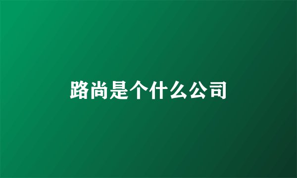 路尚是个什么公司