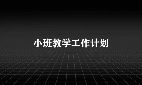小班教学工作计划