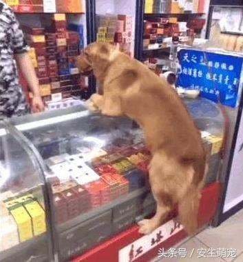 红塔山集团为什么没落了？