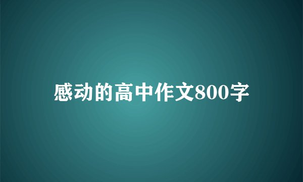 感动的高中作文800字