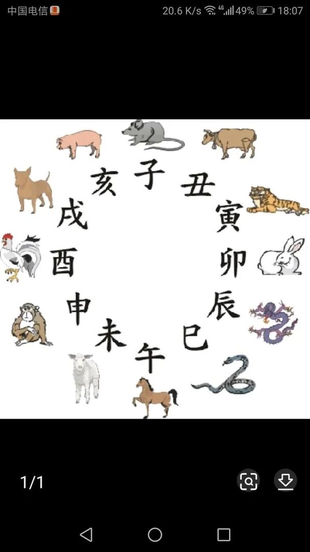 2021十二生肖顺序图?