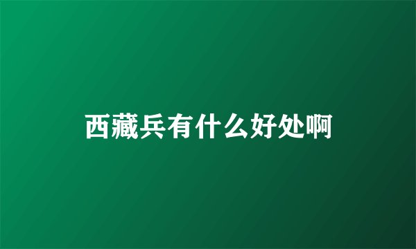 西藏兵有什么好处啊