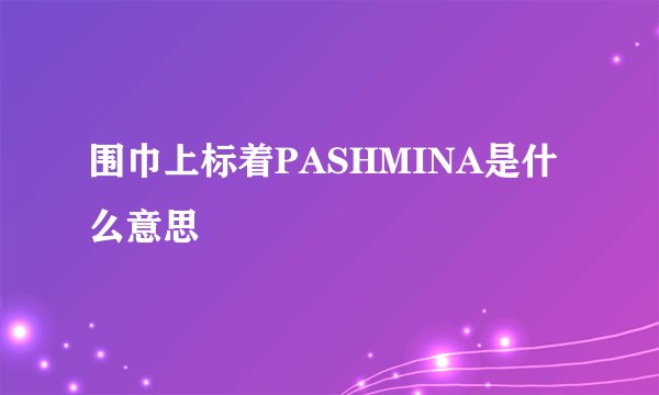 围巾上标着PASHMINA是什么意思