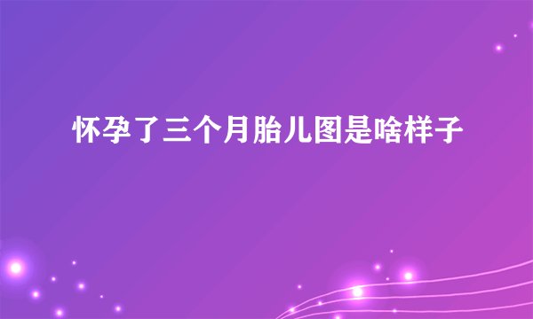 怀孕了三个月胎儿图是啥样子