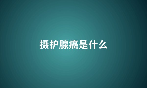 摄护腺癌是什么