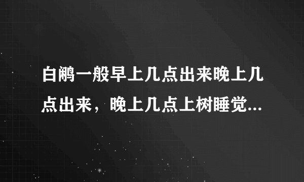 白鹇一般早上几点出来晚上几点出来，晚上几点上树睡觉，白鹇一般喜欢在什么树上睡觉，晚上找白鹇技巧。还