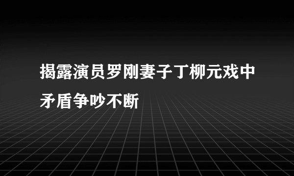 揭露演员罗刚妻子丁柳元戏中矛盾争吵不断