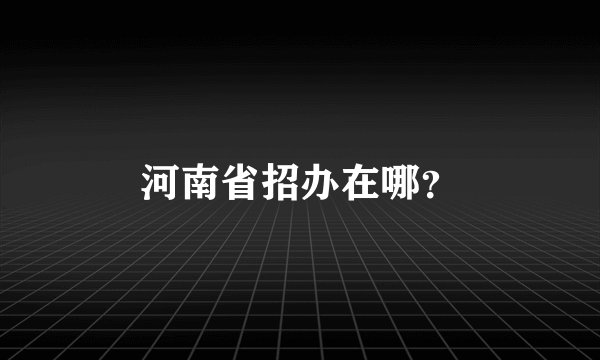 河南省招办在哪？