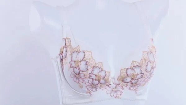 文胸品牌前十大排名榜
