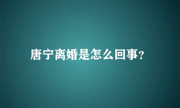 唐宁离婚是怎么回事？