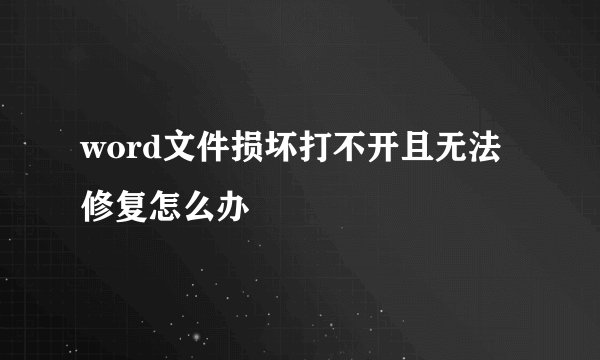 word文件损坏打不开且无法修复怎么办