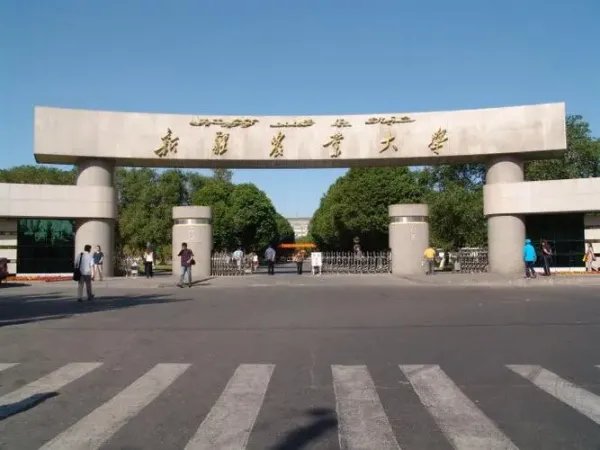 新疆农业大学在哪