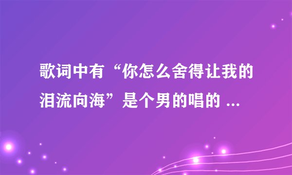 歌词中有“你怎么舍得让我的泪流向海”是个男的唱的 歌名是什么