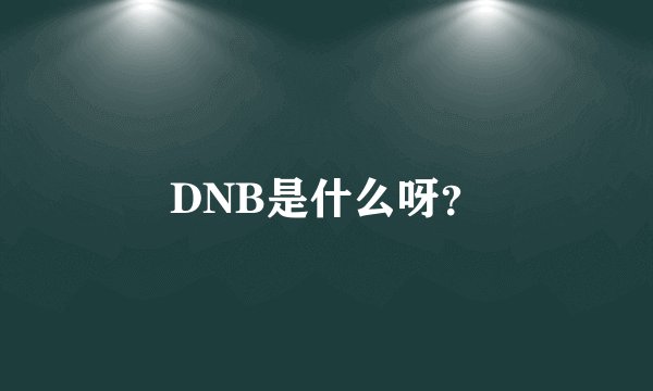 DNB是什么呀？