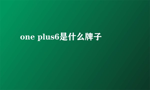 one plus6是什么牌子
