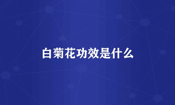 白菊花功效是什么