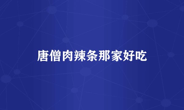 唐僧肉辣条那家好吃
