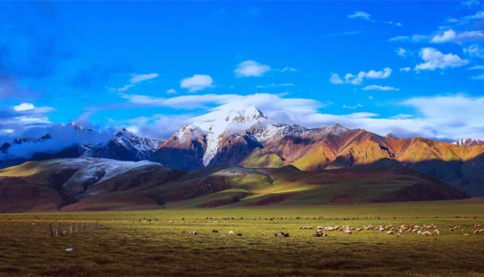 旅游管理专业就业前景