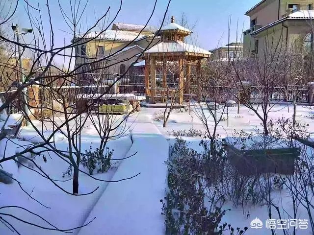 大庆市阿斯兰小镇怎么样?大家觉得好玩吗?