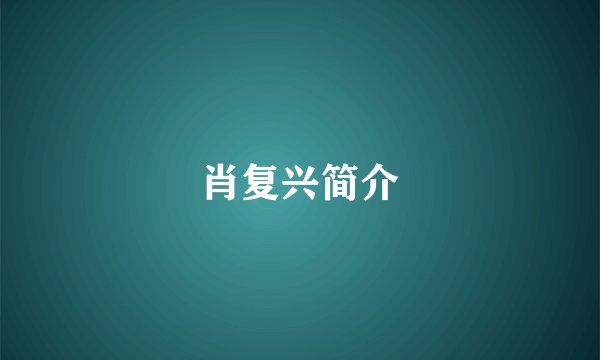 肖复兴简介