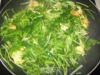香菜炒鸡蛋