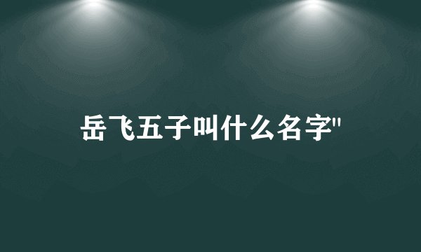 岳飞五子叫什么名字