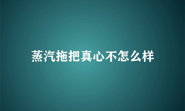 蒸汽拖把真心不怎么样