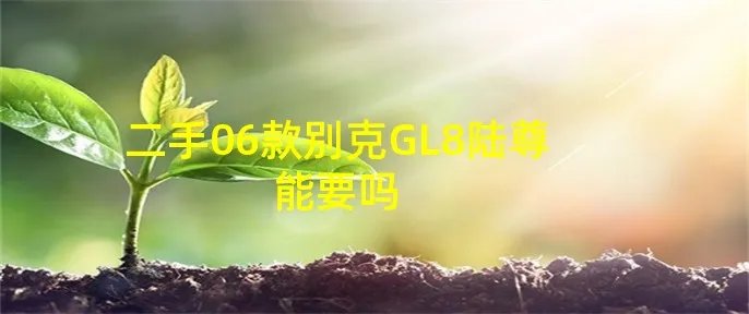 二手06款别克GL8陆尊能要吗