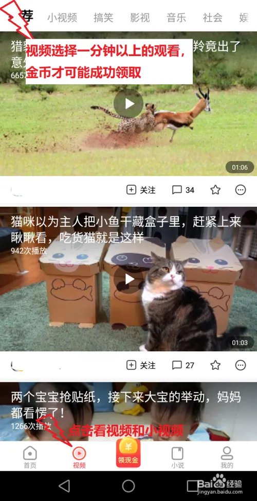 【看多多】app获得金币计算收入方法