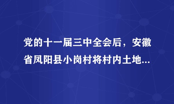 党的十一届三中全会后，安徽省凤阳县小岗村将村内土地分开承包，开创了（　　）的先河，农村改革率先取得突破，乡镇企业迅速发展。A.“一国两制”B. 改革开放C. 社会主义市场经济体制D. 家庭联产承包责任制
