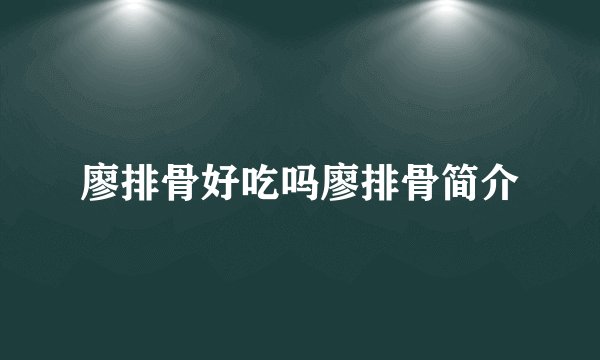 廖排骨好吃吗廖排骨简介