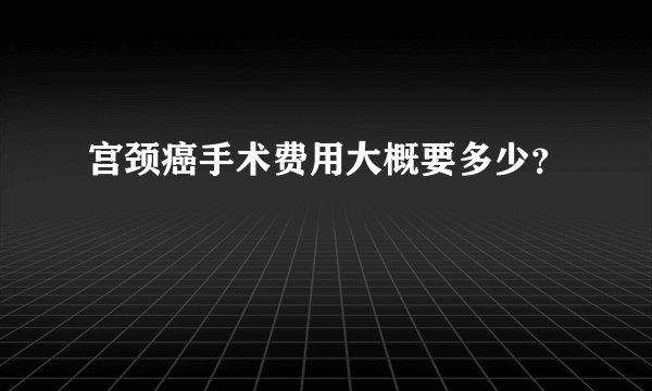 宫颈癌手术费用大概要多少?