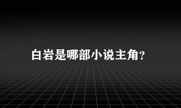 白岩是哪部小说主角？