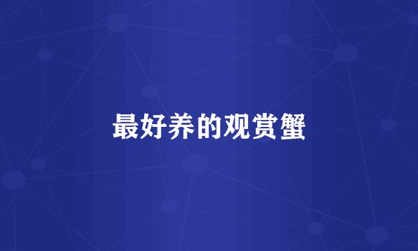最好养的观赏蟹