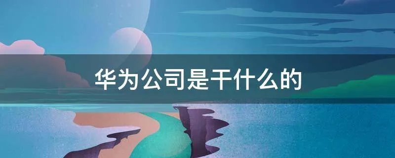 华为公司是干什么的
