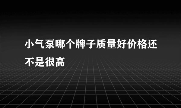 小气泵哪个牌子质量好价格还不是很高