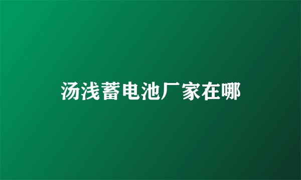 汤浅蓄电池厂家在哪
