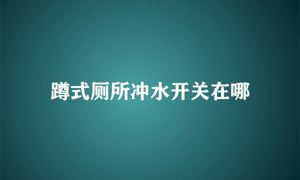 蹲式厕所冲水开关在哪